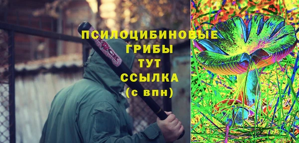 хмурый Балабаново