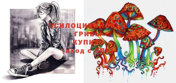 хмурый Балабаново