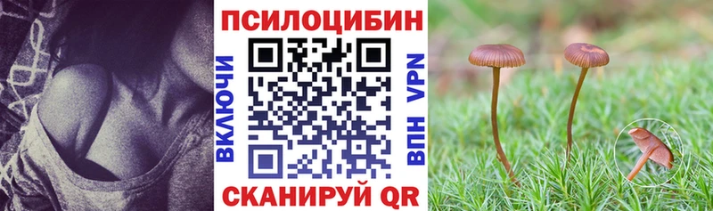 наркотики  Лабинск  omg сайт  Галлюциногенные грибы Cubensis 